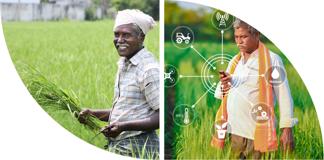 Griffon Agri-ERP platforms for Farmers and Contract farming companies